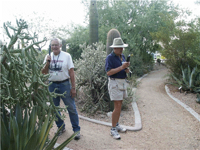 Audio Wand Tour at the Glendale Xeriscape Demonstration Garden